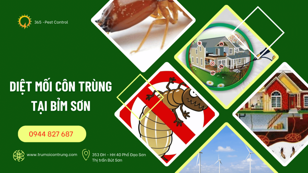 Diệt mối Bỉm Sơn