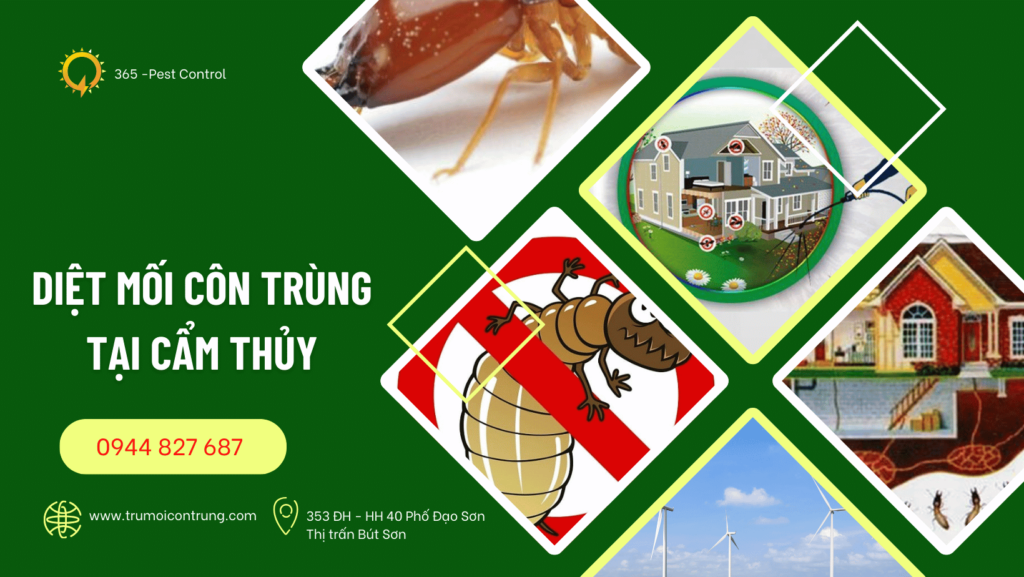 Dịch vụ diệt mối côn trùng tại Cẩm Thủy
