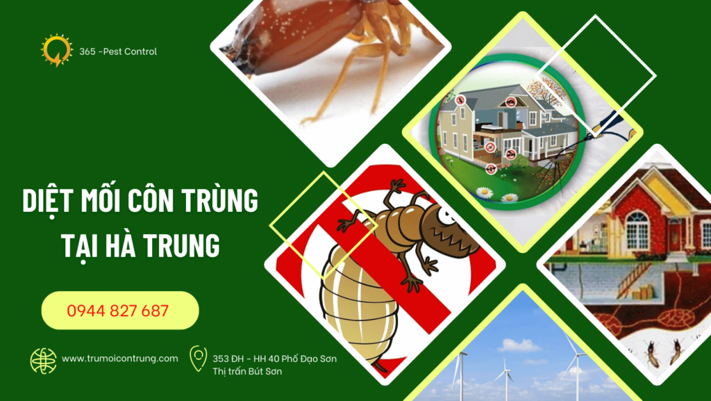 DIệt mối côn trùng tại Hà Trung Thanh Hóa