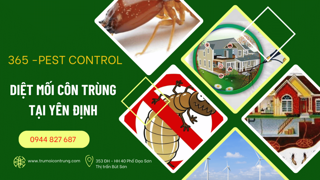 Dịch vụ diệt mối côn trùng tại Yên Định Thanh Hóa