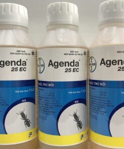 Agenda 25 EC