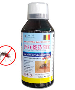 che-pham-diet-con-trung-per-green-50ec23312