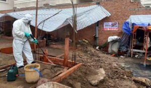 Biện pháp phòng chống mối