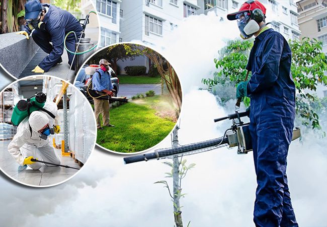 diệt côn trùng