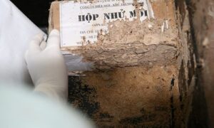 Hướng dẫn sử dụng hộp nhử mối an toàn hiệu quả