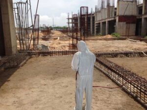 Phòng chống mối cho công trình