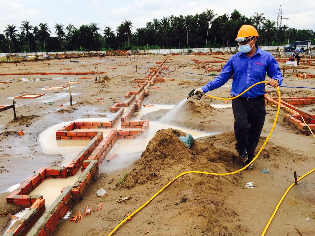 Phòng chống mối công trình xây dựng