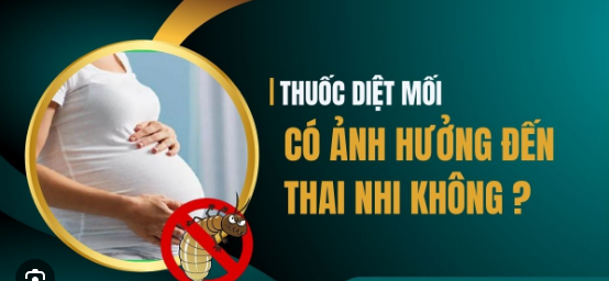 Thuốc diệt mối có ảnh hưởng đến thai nhi và mẹ bầu không