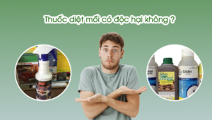 Thuốc diệt mối có độc không