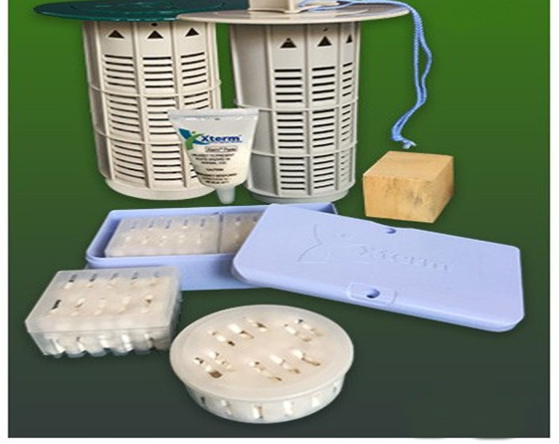 Diệt mối bằng phương pháp Xterm