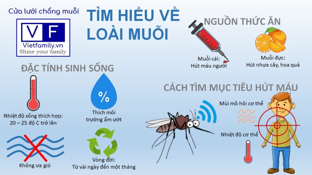 Tìm hiểu về loài muỗi tập tính và cách phòng ngừa