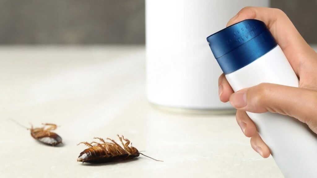 Mùi thuốc diệt côn trùng có độc không