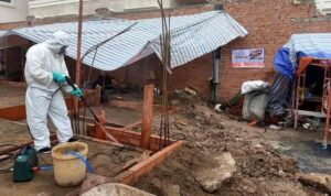 Xử lý mối nền trong xây dựng nhà cửa