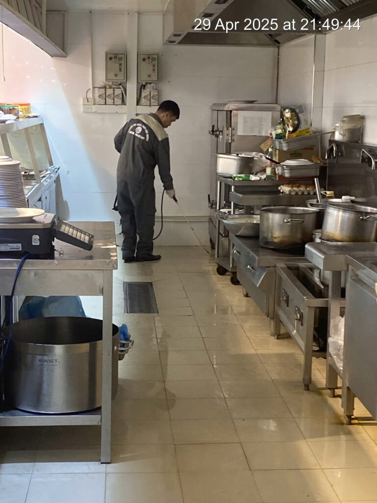 Kiểm soát côn trùng tại Hải Phòng