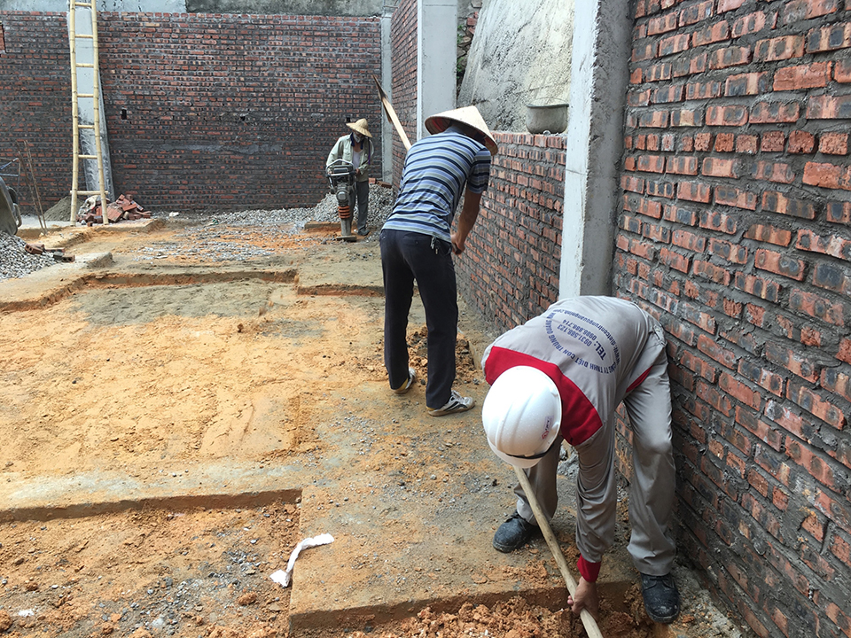 Tại sao phải phòng mối nền trong xây dựng