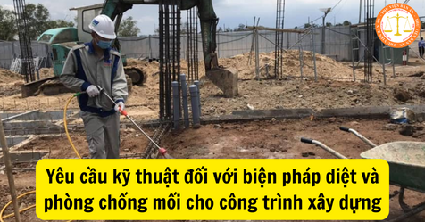 5 Biện pháp thi công phòng chống mối cho công trình – Tuân thủ tiêu chuẩn quốc gia 2025