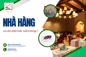 Nhà hàng có cần diệt mối, ruồi không?