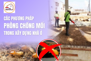 Các phương pháp phòng chống mối trong xây dựng nhà ở