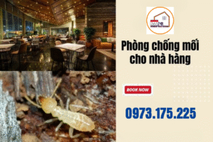 Diệt mối cho nhà hàng, quán ăn – Giữ vệ sinh và an toàn thực phẩm
