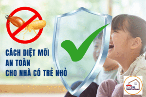 Cách diệt mối an toàn cho nhà có trẻ nhỏ