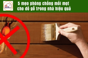 5 mẹo phòng chống mối mọt cho đồ gỗ trong nhà hiệu quả