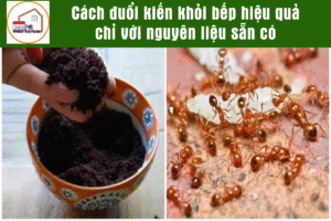 5 mẹo phòng chống mối mọt cho đồ gỗ trong nhà hiệu quả