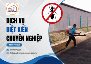 Dịch vụ diệt kiến chuyên nghiệp – Giữ bếp nhà sạch sẽ cùng 365PC