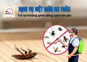 Dịch vụ diệt gián an toàn