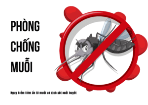 Giải pháp phòng chống Muỗi – kẻ thù nhỏ bé nhưng nguy hiểm