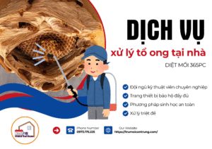 Dịch vụ xử lý tổ ong tại nhà an toàn – Diệt Mối 365PC
