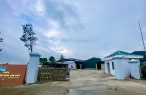 Phun ruồi muỗi định kỳ tại Công ty VINAPEX – Nông sản Việt