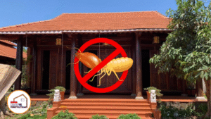 Phòng mối sau mưa bão cho nhà thờ – Giải pháp bảo tồn công trình tâm linh bền vững