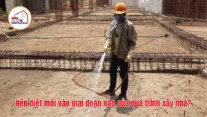 Nên diệt mối vào giai đoạn nào của quá trình xây nhà?