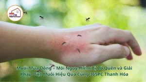 Muỗi Mùa Đông – Mối Nguy Hiểm Bị Bỏ Quên và Giải Pháp Diệt Muỗi Hiệu Quả Cùng 365PC Thanh Hóa