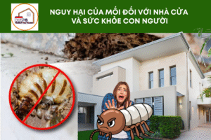 Nguy hại của mối đối với nhà cửa và sức khỏe con người