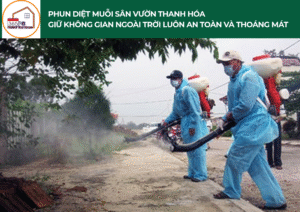 Phun diệt muỗi sân vườn Thanh Hóa – Giữ không gian ngoài trời luôn an toàn và thoáng mát