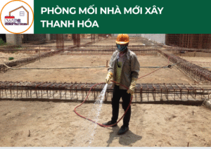 Phòng mối nhà mới xây Thanh Hóa – Bảo vệ công trình từ khi còn nền móng