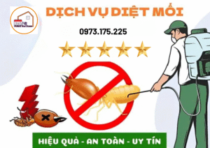 Dịch vụ diệt mối giá rẻ tại Thanh Hóa
