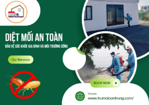 Diệt mối an toàn – Bảo vệ sức khỏe gia đình và môi trường sống