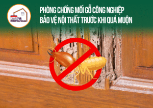 Phòng chống mối gỗ công nghiệp