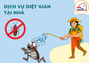 Phun diệt gián nhà hàng Thanh Hóa – Đảm bảo vệ sinh và uy tín kinh doanh