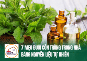 7 mẹo đuổi côn trùng trong nhà bằng nguyên liệu tự nhiên