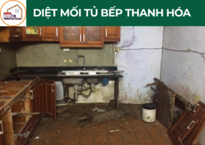 Diệt mối tủ bếp Thanh Hóa