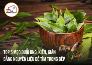Top 5 mẹo đuổi ong, kiến, gián bằng nguyên liệu dễ tìm trong bếp