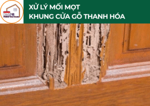 Xử lý mối mọt khung cửa gỗ Thanh Hóa