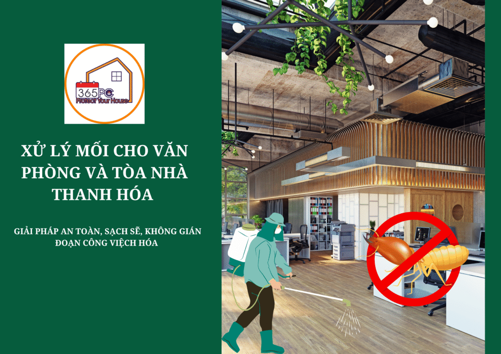 Xử lý mối cho văn phòng và tòa nhà Thanh Hóa