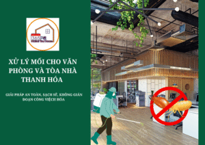 Xử lý mối cho văn phòng và tòa nhà Thanh Hóa