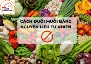 6 cách đuổi muỗi tự nhiên an toàn, hiệu quả mà ít người biết