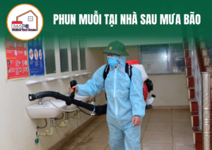 Phun muỗi tại nhà sau mưa bão