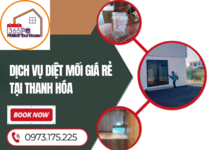 Dịch vụ diệt mối giá rẻ tại Thanh Hóa
